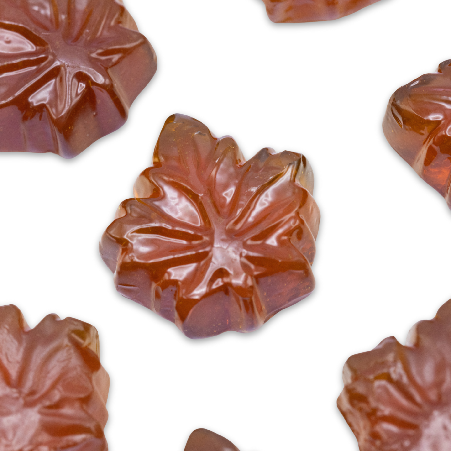 maple candy drops maple sugar gift